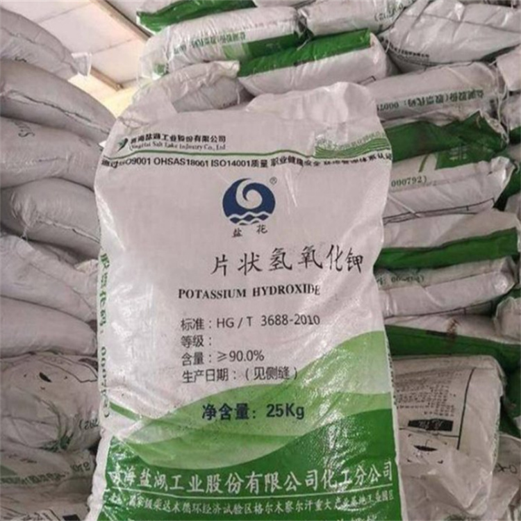 完全免费黄片在线鸡巴